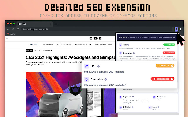 Detailed SEO Extension