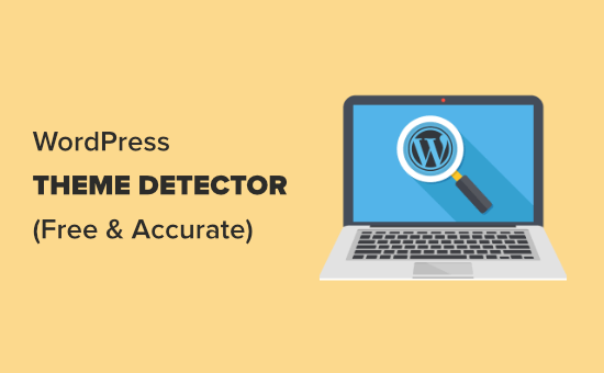 WordPress Theme Detector and Plugin Detector