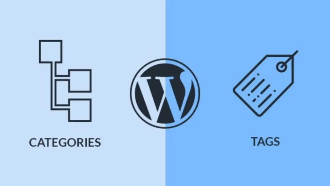 wordpress建站里的category和tag