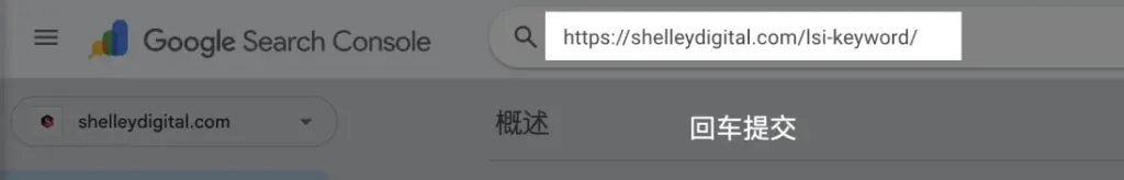 google search console inspection tool